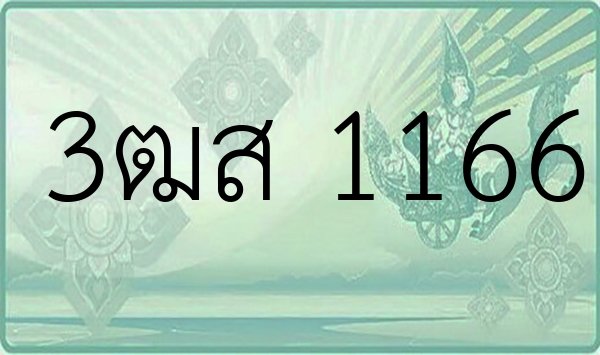 3ฒส 1166